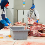 New York Daily News Editorial Section