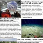 Climate Diet December 2025 Newsletter