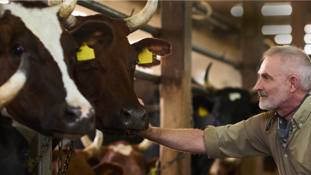 Protecting animals and farm workers