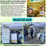 Spreading Awareness - Farm animation rights movement vegfest